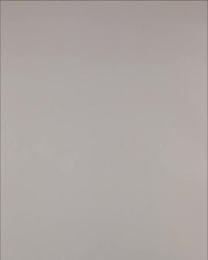 Фотография  539 - Нижнее белье Bon Prix дети#50 шт, ЛОТ №3242 оптом в Салехарде и Ямало-Ненецком АО