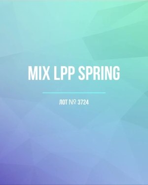 Купить LPP Spring mix#20 кг, ЛОТ №3724 оптом в Салехарде и Ямало-Ненецком АО