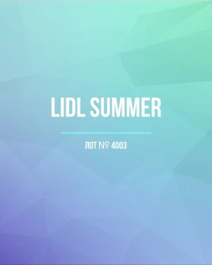 Купить LIDL Summer#20 кг, ЛОТ №4003 оптом в Салехарде и Ямало-Ненецком АО