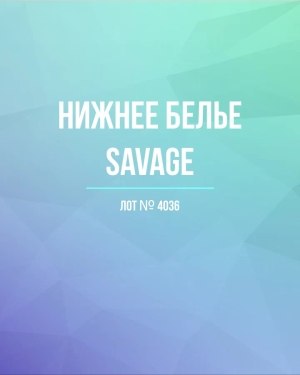 Купить Нижнее белье Savage#50 шт, ЛОТ №4036 оптом в Салехарде и Ямало-Ненецком АО
