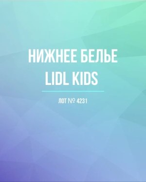 Купить Нижнее белье LIDL Kids#5 кг, ЛОТ №4231 оптом в Салехарде и Ямало-Ненецком АО