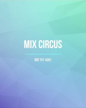 Купить CIRCUS mix #13 кг, ЛОТ №4261 оптом в Салехарде и Ямало-Ненецком АО