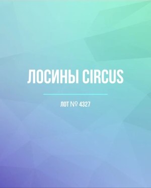 Купить Лосины CIRCUS #6,2 кг, ЛОТ №4327 оптом в Салехарде и Ямало-Ненецком АО