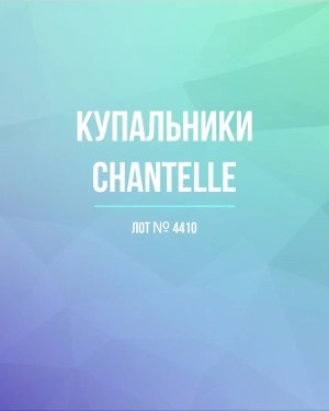 Купить Купальники Chantelle#30 шт, ЛОТ №4410 оптом в Салехарде и Ямало-Ненецком АО