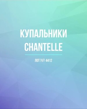 Купить Купальники Chantelle#23 шт, ЛОТ №4412 оптом в Салехарде и Ямало-Ненецком АО