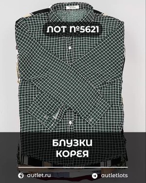Купить Блузки Корея#20 шт, ЛОТ №5621 оптом в Салехарде и Ямало-Ненецком АО
