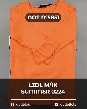 Купить LIDL Summer м/ж 022024#14 кг, ЛОТ №5851 оптом в Салехарде и Ямало-Ненецком АО
