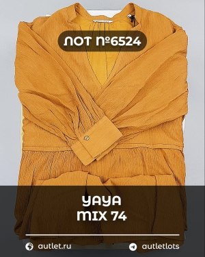 Купить YA YA 062024#39 шт, ЛОТ №6524 оптом в Салехарде и Ямало-Ненецком АО