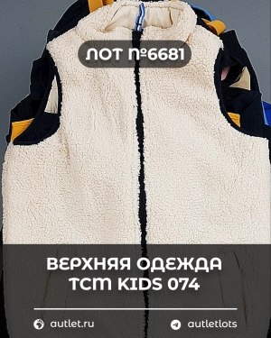 Купить Верхняя одежда TCM kids 074#7 кг, ЛОТ №6681 оптом в Салехарде и Ямало-Ненецком АО