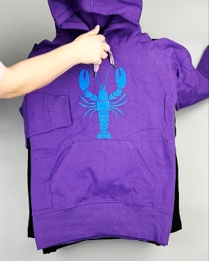 Фотография  730 - Толстовки м/ж (Sweat Tops)#20 кг, ЛОТ №7431 оптом в Салехарде и Ямало-Ненецком АО