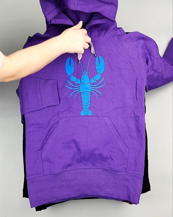 Фотография  253 - Толстовки м/ж (Sweat Tops)#20 кг, ЛОТ №7431 оптом в Салехарде и Ямало-Ненецком АО