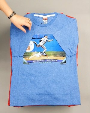 Фотография  809 - HOMAGE CAN 084#10 кг, ЛОТ №7499 оптом в Салехарде и Ямало-Ненецком АО