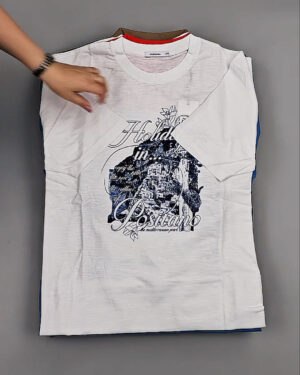 Фотография  740 - Футболки мужские C-3141 (MEN T-shirt Sorbino) #4,7 кг, ЛОТ №8833 оптом в Салехарде и Ямало-Ненецком АО