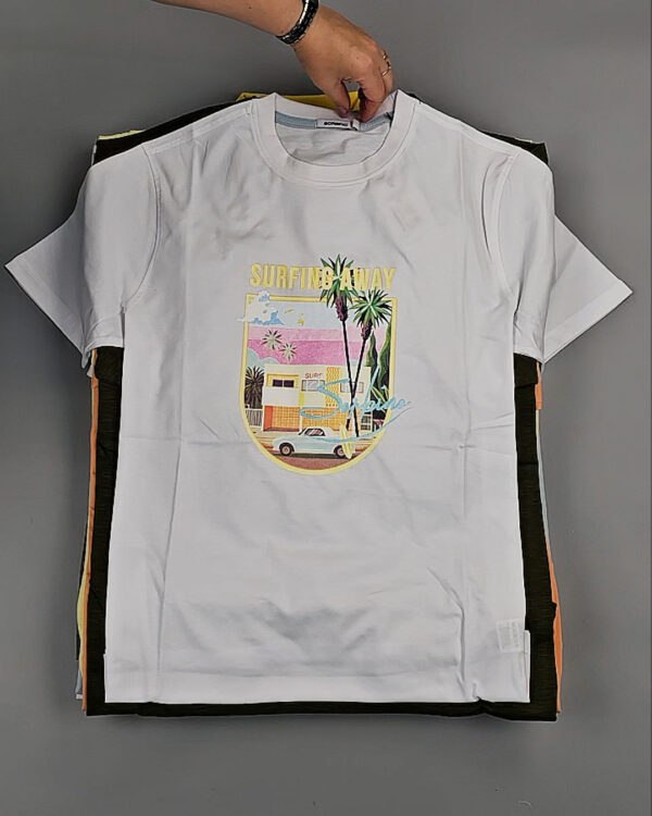 Фотография  988 - Футболки мужские C-3141 (MEN T-shirt Sorbino) #4,8 кг, ЛОТ №8835 оптом в Салехарде и Ямало-Ненецком АО