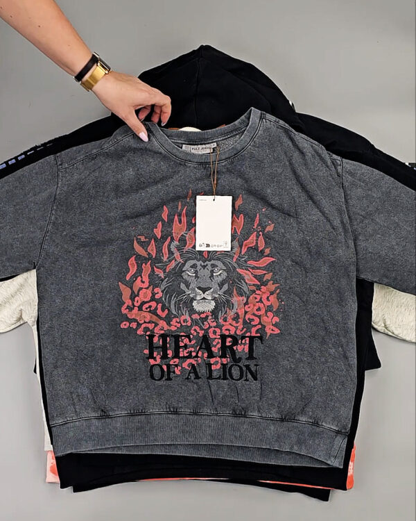 Фотография  225 - Толстовки Bestseller+DK 035#7 кг, ЛОТ СТ-9839 оптом в Салехарде и Ямало-Ненецком АО